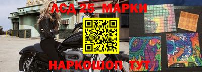 гидропоника Можга