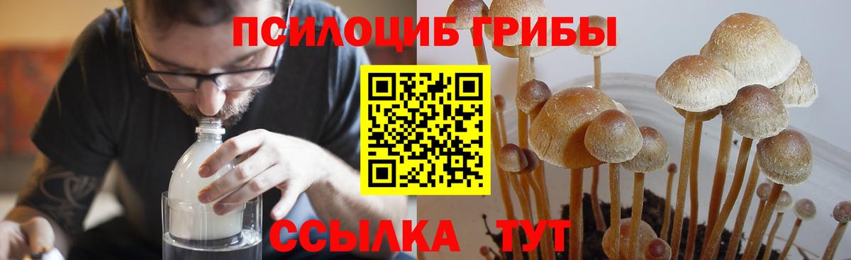 Псилоцибиновые грибы Psilocybine cubensis Уварово